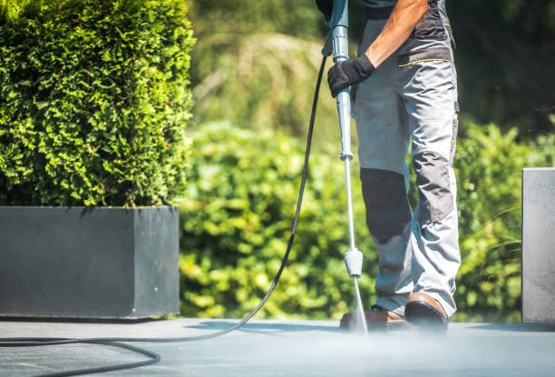 Best Vinyl Siding Pressure Washing in Stockdale, TX